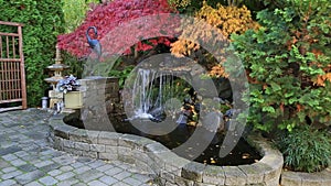 Video of colorful maple trees over water feature in patio garden fall season HD