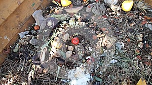 Video of a compost heap on which garbage is thrown