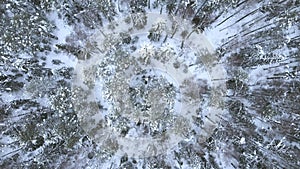 Video contains winter forest during dron fly