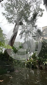 Video of Cyclone Tauktae effect in Mumbai on 17 May 2021