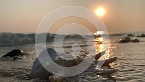 Video - Ebb and flow of waves at a beach in Omadhoo Island