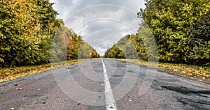Video of Empty asphalt road through the autumn woods. Autumn scene with road in forest. Beautiful scenic empty road in