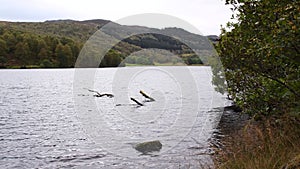 Video of freshwater lake Loch Tummel north west of Pitlochry