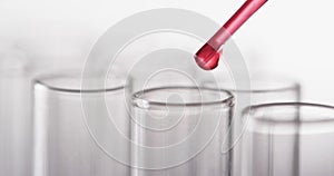 Video of glass laboratory test tubes and pipette with red liquid and copy space on white background