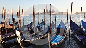 Video of the gondolas of Venice in Italy