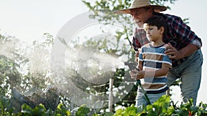 Video of grandson helping grandfather to water the vegetable patch.