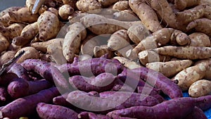 Video purple and yellow yams pile in market