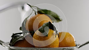 In the video we see tangerines, tangerines lie slide, tangerines covered with water drops, white background