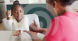 Video of smiling African American granddaughter using sign language with grandmother, copy space