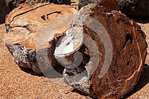 A video of a stack of firewood on floor