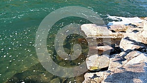 Video of stones and water of Altai river Katun. Altai, Russia