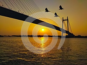 Vidyasagar bridge setu on river Hooghly. Kolkata Prinsep Ghat Sunset click flying birds front of camera.