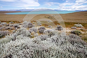 Viedma Lake, Patagonia near the border between Argentina and Chile