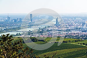 Vienna Aerial View in Summer end / beginning of Autumn/Fall. Vineyards visible in the foreground