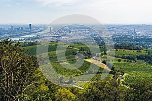 Vienna Aerial View in Summer end / beginning of Autumn/Fall. Vineyards visible in the foreground