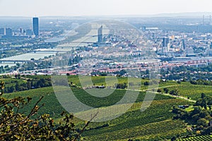 Vienna Aerial View in Summer end / beginning of Autumn/Fall. Vineyards visible in the foreground