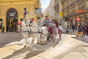 Vienna, Austria, fiaker with white horses