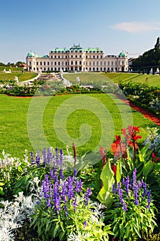 Vienna - Belvedere Palace with flowers - Austria photo