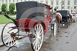 Vienna carriages