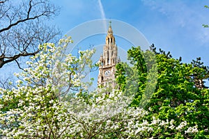 Vienna City hall in spring, Austria