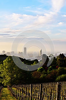 Vienna from Kahlenberg in the early morning