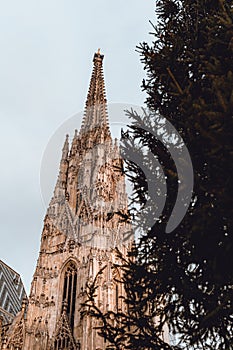 Vienna\'s Iconic Gothic Cathedral Against a Winter Sky