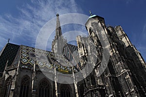 Vienna-Stephansdom