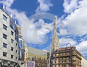The Vienna Stephansdom