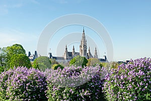 Vienna Town Hall building in springtime and summer