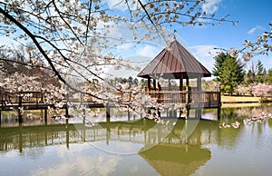 Vienna VA Gazebo Meadowlark Regional Park Spring