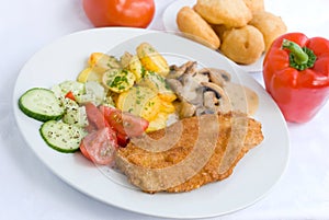 Viennese-milanese-steak with photo