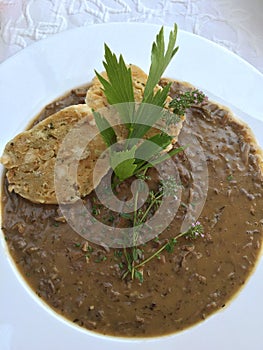 Viennese soup called Beuschel, ragout made with veal lungsÃ Â¸Â¡ he photo