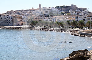 Vieste, a small fishing town along the Adriatic, Italy photo