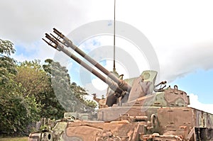 Viet Nam War: Ainti-Aircraft Gun