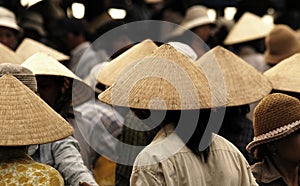 Vietnam conic hats