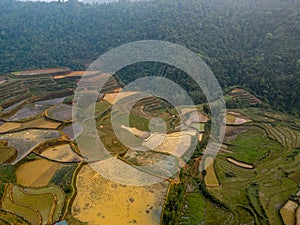 Vietnam drone aerial - bird eye view : Sa-Pa rice field