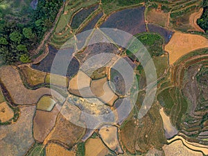 Vietnam drone aerial - bird eye view : Sa-Pa rice field
