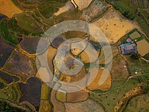 Vietnam drone aerial - bird eye view : Sa-Pa rice field