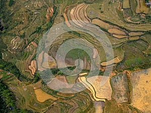 Vietnam drone aerial - bird eye view : Sa-Pa rice field