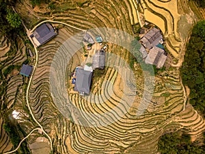 Vietnam drone aerial - bird eye view : Sa-Pa rice field