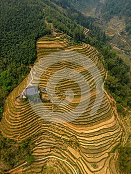 Vietnam drone aerial - bird eye view : Sa-Pa rice field