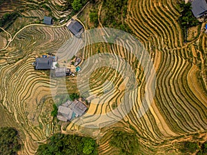 Vietnam drone aerial - bird eye view : Sa-Pa rice field