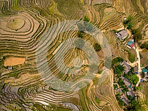 Vietnam drone aerial - bird eye view : Sa-Pa rice field