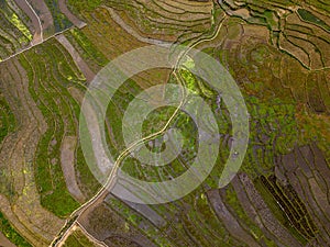 Vietnam drone aerial - bird eye view : Sa-Pa rice field