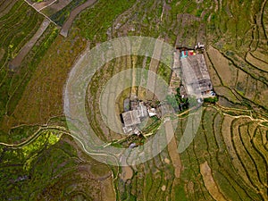 Vietnam drone aerial - bird eye view : Sa-Pa rice field