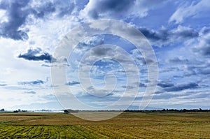 Vietnam landscape: The field after harvest under cloudy sky-Binh Thuan, Viet nam