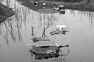 Vietnam landscape, floating house, tree reflect