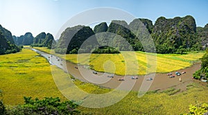 Vietnam landscape. Rice field with curve river and surrounding mountains in Tam Coc, Ninh Binh