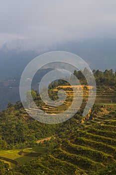 Vietnam landscape with rice field, river, mountain and low clouds in early foggy morning in Trung Khanh, Cao Bang, Vietnam
