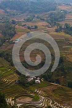 Vietnam landscape with rice field, river, mountain and low clouds in early foggy morning in Trung Khanh, Cao Bang, Vietnam